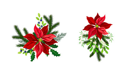 Wall Mural - Poinsettia flower set. Christmas decorations with red flowers and fir tree branches vector illustration