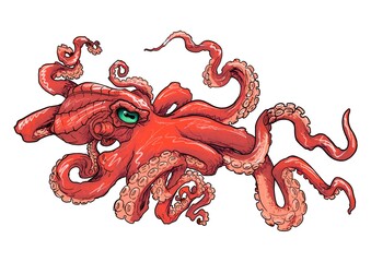 sketch of an octopus contour with shadows in color for a tattoo on the background