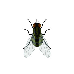 realistic fly