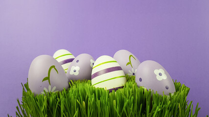 easter eggs are multicolored on the green natural grass. background background is trending very heri.