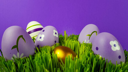 easter eggs are multicolored on the green natural grass. background background is trending very heri.