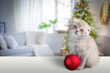 Sticker - The cat looks and posing on a beautifully decorated Christmas tree background