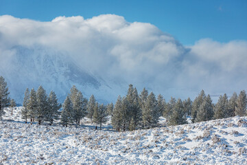 Poster - Winter mountains