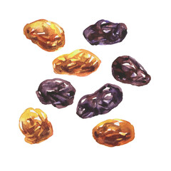 Wall Mural - A set of dried grapes. Golden and dark seedless raisins. Delicious food, sweet dessert fruits. Color illustration isolated on a white background in watercolor technique.