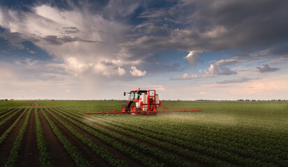 Poster - Tractor spraying soy field in sunset.