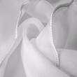 canvas print picture - White silk organza with wavy piping. Border around the edge of the fabric. Abstract background. texture pattern. Silk organza has a delicate open weave. Wave background. Copy space