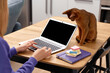 Young adult woman in violet hoodie with abyssinian cat using laptop. Work from home concept