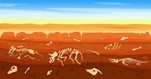 Cartoon Dinosaur Fossils In Ground, Buried Dinosaurs Skeleton. Underground Soil Cross Section With Prehistoric Skeletons Vector Illustration. Prehistoric Animals Bones Hidden Underground