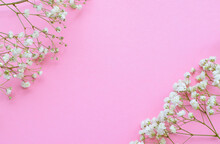 Beautiful Small White Flowers Of Gypsophila On A Pink Background. Place For Text