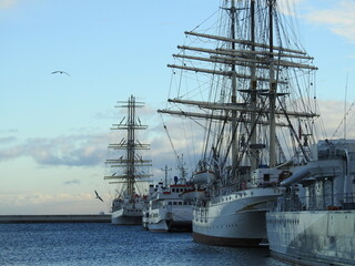 Naklejka na meble sailing ships in the harbor