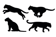 Vector Set Of Hand Drawn Flat Tigers Silhouette Isolated On White Background
