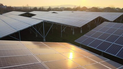 Wall Mural - Aerial view of large sustainable electrical power plant with rows of solar photovoltaic panels for producing clean ecological electric energy. Renewable electricity with zero emission concept.