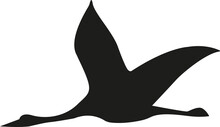 Wild Geese Bird Flying In Sky Vector. Signs And Symbols.