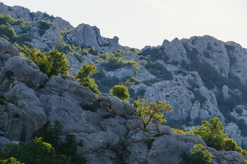 Wall Mural - Beautiful illuminates trees by sunlight with rock formation in mountain landscape at summer in National Park Paklenica, Velebit, Croatia, Europe