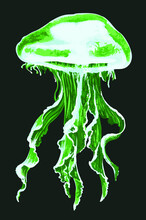 Drawing Green Jellyfish, Art.illustration, Vector