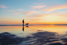 The Silhouette Of A Man Against The Background Of A Sunset On A Lake Or Sea. A Woman Or A Man On The Background Of The Setting Sun Walks And Plays With His Dog In Nature, The Friendship Of Man And Dog