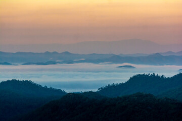 Morning fog in dense tropical rainforest ,Misty forest landscape at Salavin national park