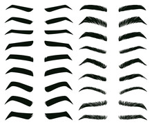 Cartoon Eyebrows Shapes, Thin, Thick And Curved Eyebrows. Classic Eyebrows, Brow Makeup Shaping Vector Illustration Set. Various Eyebrows Types