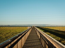 Marsh Boardwalk Trail At Baylands Nature Preserve, In Palo Alto, California