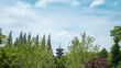 Traditional Chinese pagoda over trees in Suzhou, China