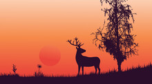 Deer In The Forest Beautiful Sunset Scenery Vector Illustration