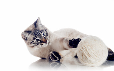 Wall Mural - The cat is playing with a ball of woolen threads on a white background.