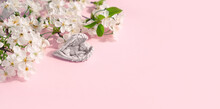 Sleeping Angel And Cherry Flowers On Pink Background. Spring Season. Romantic Gentle Image. Mother's Day, Birthday Concept. Banner. Copy Space