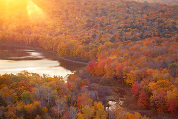 Wall Mural - high angle view of trees in autumn color and a lake at sunrise