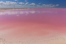 Salt Pink Lagoon In Las Coloradas, Yucatan, Mexico