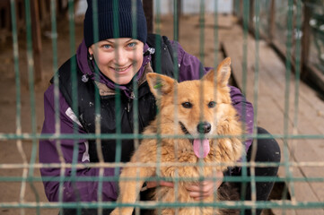 Volunteer in the nursery for dogs. Woman volunteer in a cage with a stray dog at an animal shelter