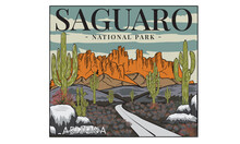 Saguaro National Park Explore  Graphic Print Design For Apparel, T Shirt, Sticker, Poster, Wallpaper And Others.