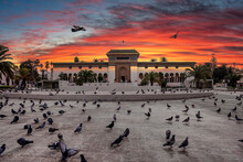 Flock Of Pigeons In Front Of Palace Of Justic On Mohammed V Square In Casablanca