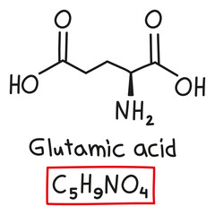Hand drawn chemical molecular formula of amino glutamic acid in doodle style isolated