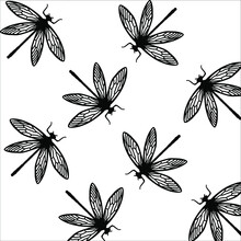 Black And White Seamless Dragonfly Pattern.. Vector Ornament Of A Water Dragonfly In Close-up. The Creatures Of The Wild Are Seamless. Butterfly Girls With Wings.