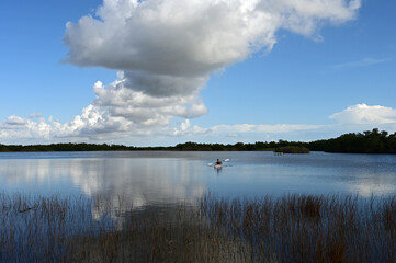 Wall Mural - Distant kayakers on calm water of Nine Mile Pond in Everglades National Park, Florida on sunny afternoon under striking winter cloudscape.