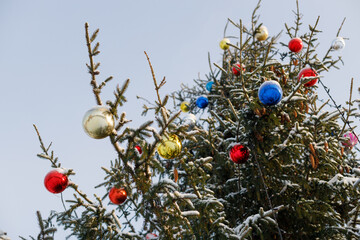 Aufkleber - christmas tree with colored balls decorations in winter