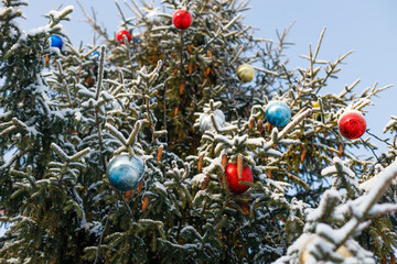 Wall Mural - christmas tree with colored balls decorations in winter