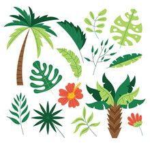 Jungle Exotic Flora Tree Palm Leafes Tropic Plant Isolated Set. Vector Flat Graphic Design Cartoon Illustration