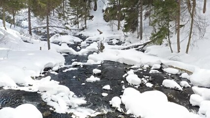 Wall Mural - River in the cold of winter forest flows between the trees with snow 