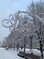 Poster - Christmas background with snowy trees. Winter park pavement covered with snow and trees. 