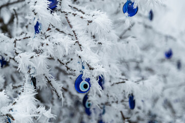 Wall Mural - Blue evil eye, nazar boncugu, Turkish symbols hanging on a tree; Cappadocia