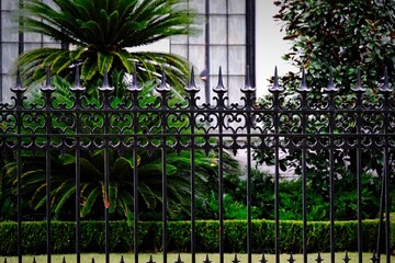 Wall Mural - Black Wrought Iron Fence