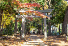 Stone Torii Gate And Long Walk Path In Japanese Shinto Shrine Surrounded By Autumn Colorful Tree Leaves