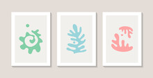 Set Of Three Abstract Posters With Natural Abstract Corals. Matisse Style. 