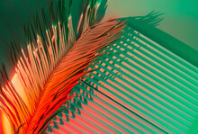 Palm Tree Leaves On Abstract Background With Podiums In Neon Light. Trendy Geometric Shapes For Products. Red And Green Gradient Light. Minimalism, 90s, 80s Concept.