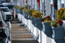 Flower Window Boxes Hanging Of Cottages At Crystal Pier With Cars Parked Next To Them