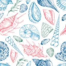 Seamless Pattern Design With Vintage Hand Drawn Sea Shells Vector Illustration.