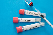 Injection And Swab Tubes With Medical Samples Against Blue Background