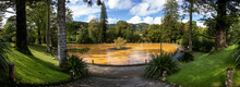 Panoramic View Of Hot Spring In Terra Nostra Park