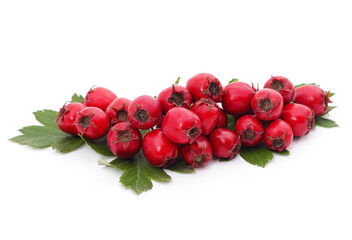 Canvas Print - Bunch of hawthorn berries and leaves.